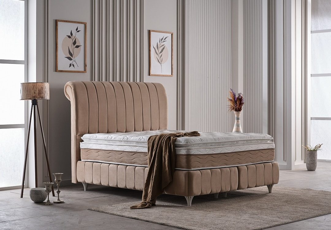 IMG 20251101 WA0155 1080X750 | Meubvet BERLIN Pfastatt