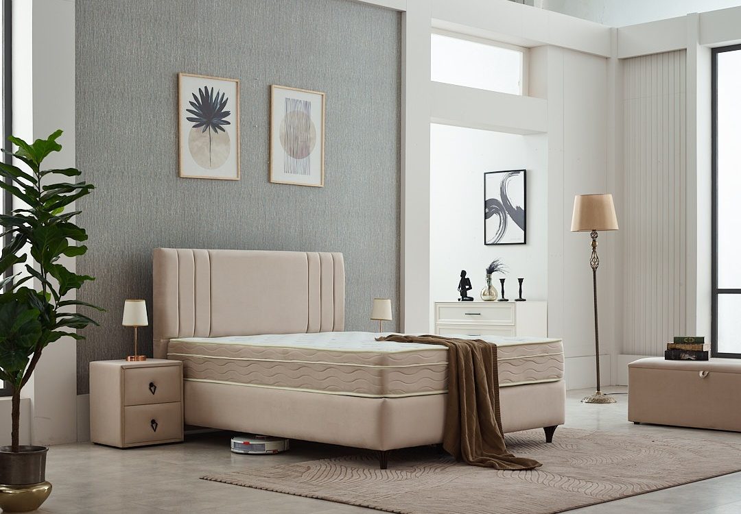 IMG 20251101 WA0168 1080X750 | Meubvet RIGA Cernay