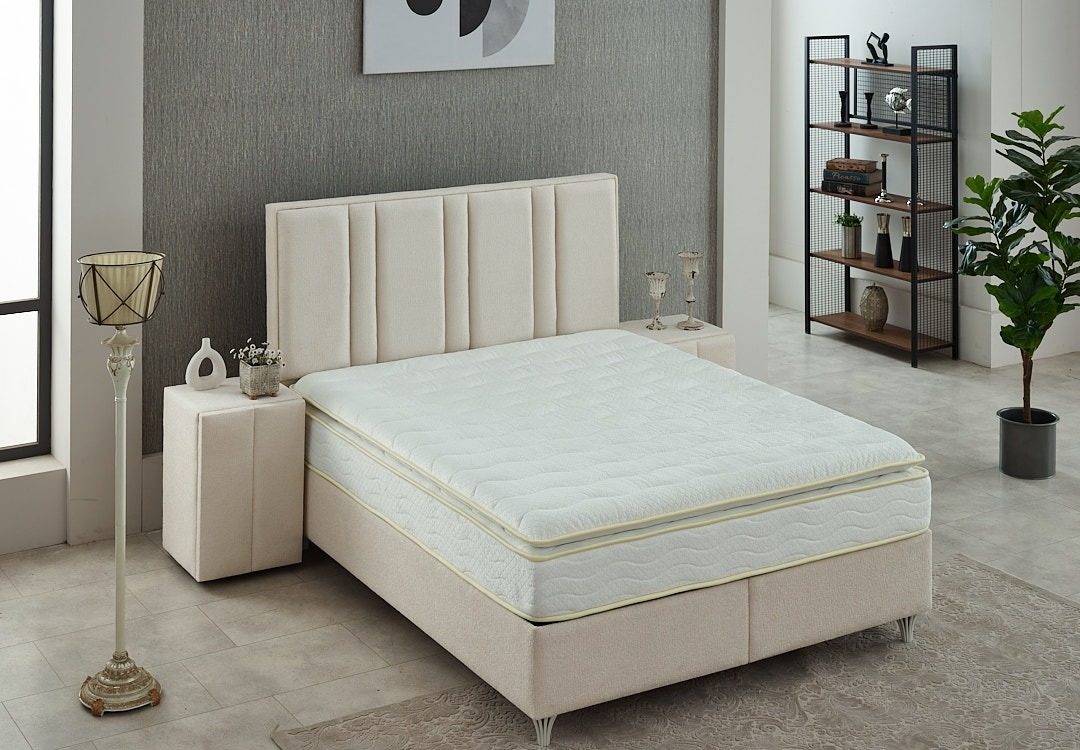 IMG 20251101 WA0172 1080X750 | Meubvet TIFLIS Wittenheim