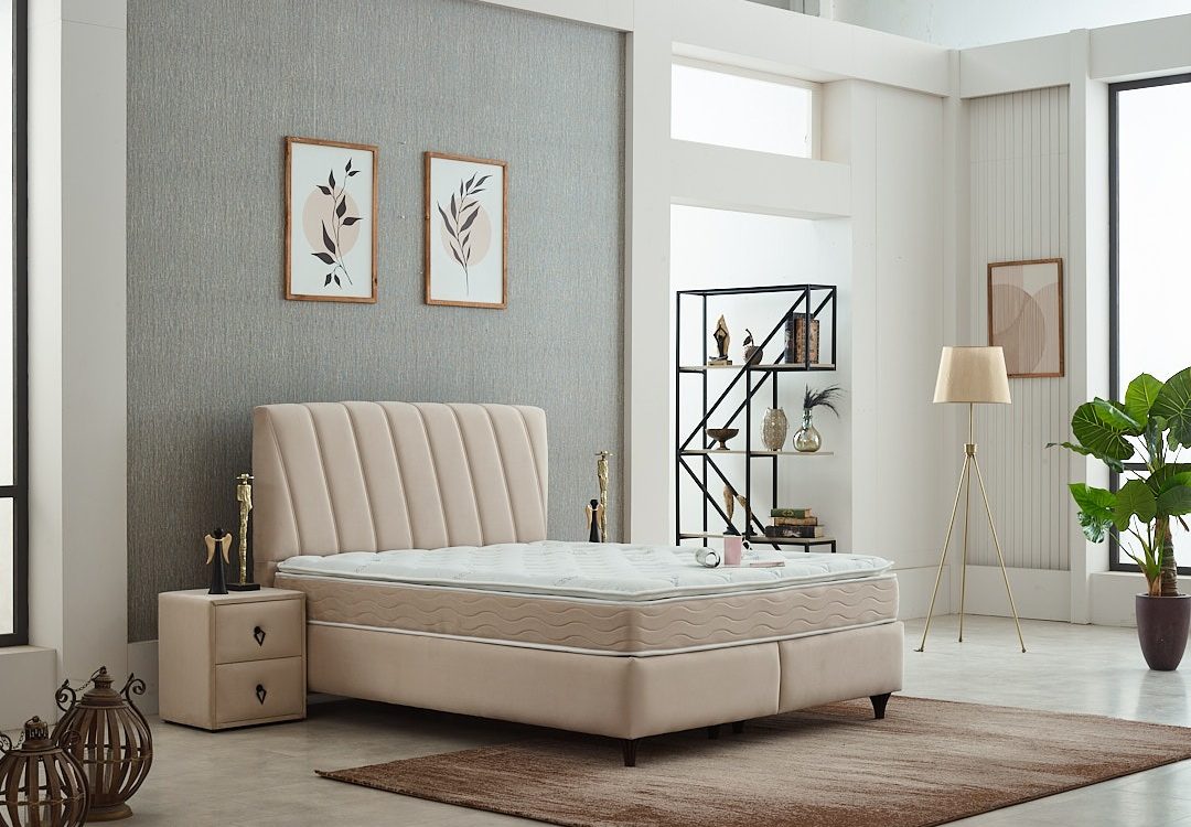 IMG 20251101 WA0174 1080X750 | Meubvet VARNA Wittelsheim